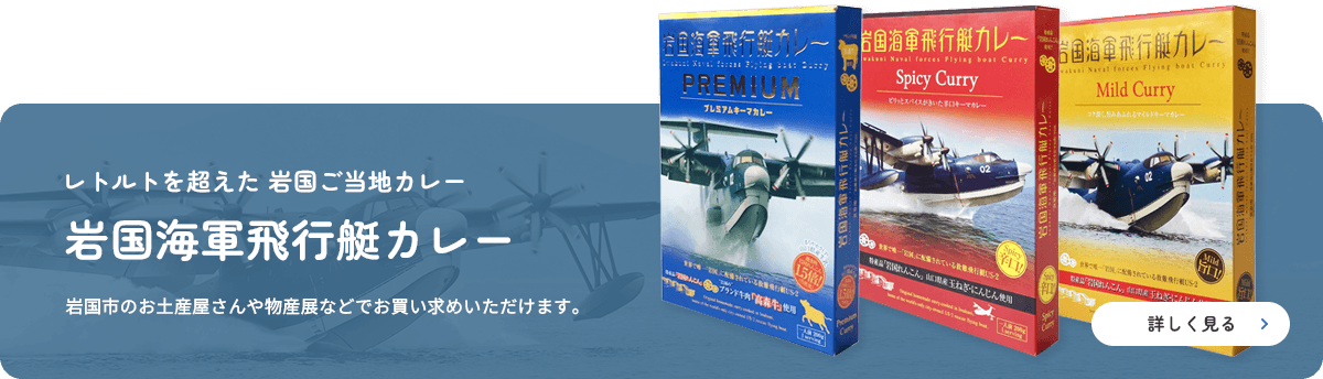 岩国海軍飛行艇カレー